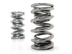 Valve Spring