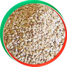 Natural Sesame Seeds - Tiny, Flat Oval Seeds with Nutty Flavor | 50% Oil, 25% Protein, Versatile Culinary Use