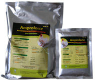 Amproforte