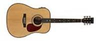 Folk Guitar SW41-014E