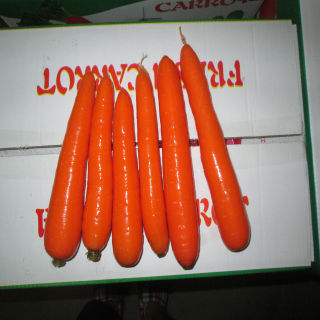 Carrots