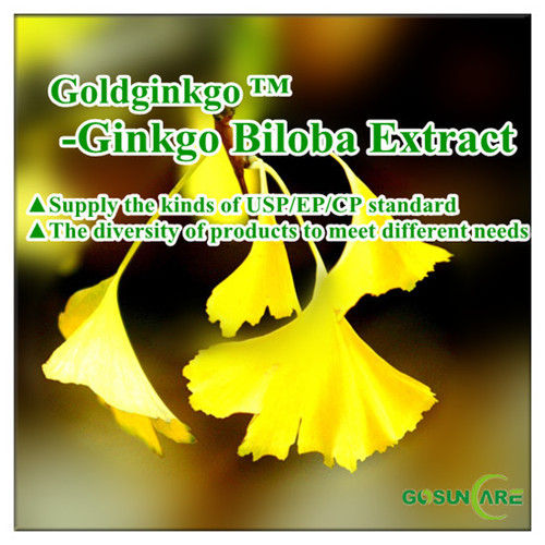 Ginkgo Biloba Extract