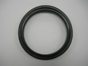 Piston Seal