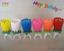 Multi-color Birthday Candles