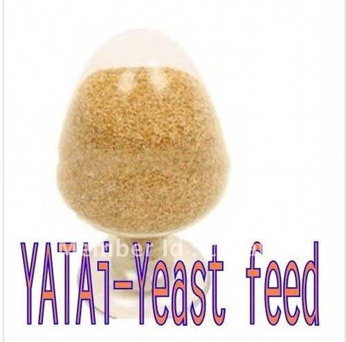 Yeast Fodder Pig Feed