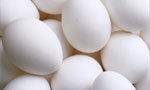 Layer Eggs
