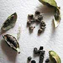 Cardamon Seeds