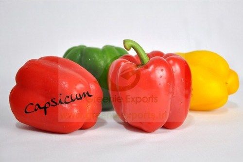 Capsicum