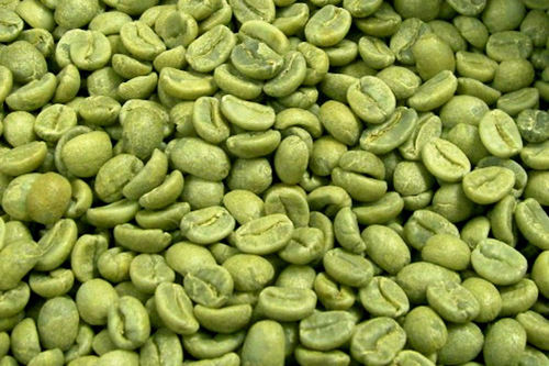 Green Coffee Bean Extract (10% Chlorogenic Acids)