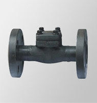 Ball Check Valve With Flanged 900lb