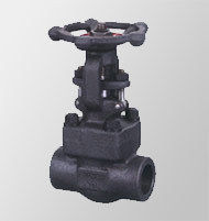 Globe Valve RB 1500Lb