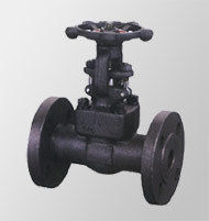 Globe Valve Wb And Flanged 150lb