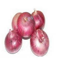 Onion