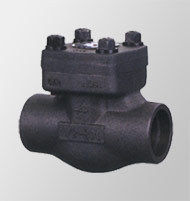 Swing Check Valve 1500Lb