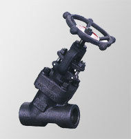 Y-Pattern Globe Valve 800lb