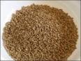 Ajwain Carom Seeds