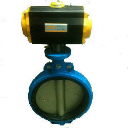 Rotary Actuated Control Valve