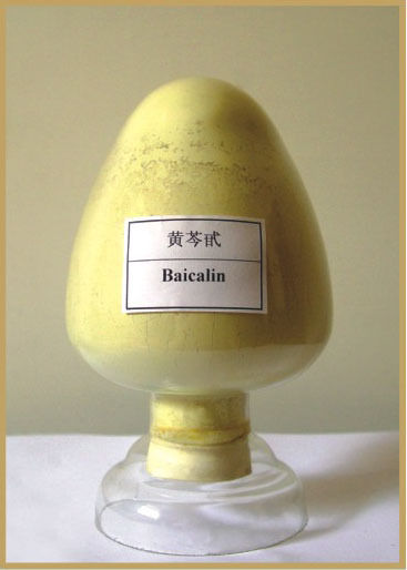 Scutellaria Baicalensis Extract