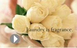 Laundry Fragrance Chemical
