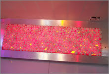 LED Decorative Lights