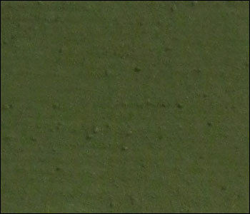 Moss Wall Coating - 41ft 