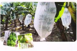 Nonwoven Fruit Covering