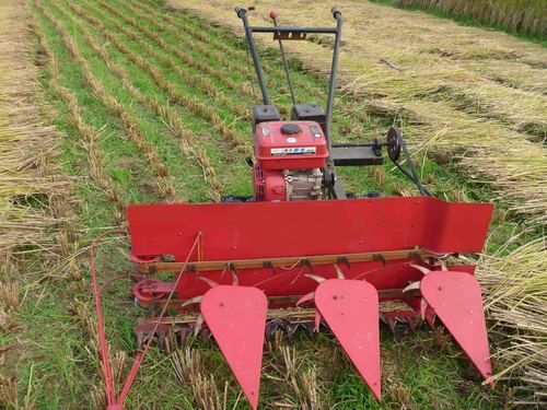 Paddy/Wheat Reaper