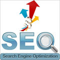 Professional Seo Company