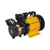 Regenerative Monoblock Pumps NR and ENR Series