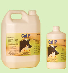 Cal P Oral Calcium