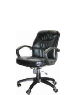 Medium Back Executive Revolving Chair