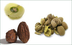 Triphala Extract - Premium Grade Natural Ingredients | Customized Packaging Options Available