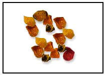 Guggul Extract