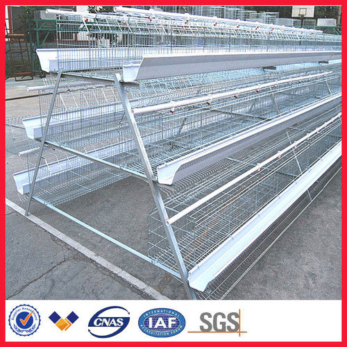 A Type/H Type Chicken Cage