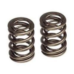 Engine Valve Springs