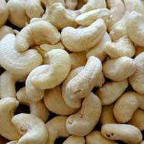 Cashew Nut Kernels