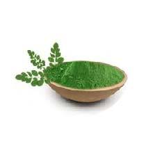 Moringa Oleifera Powder