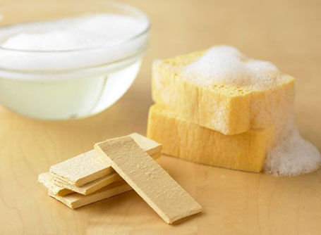 cellulose sponge