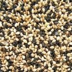 Sesame Seeds