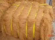 Coir Fibre