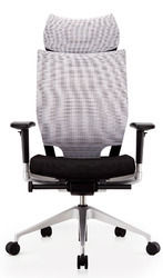 Designer Executive Chair