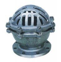 Lift Type Foot Valve