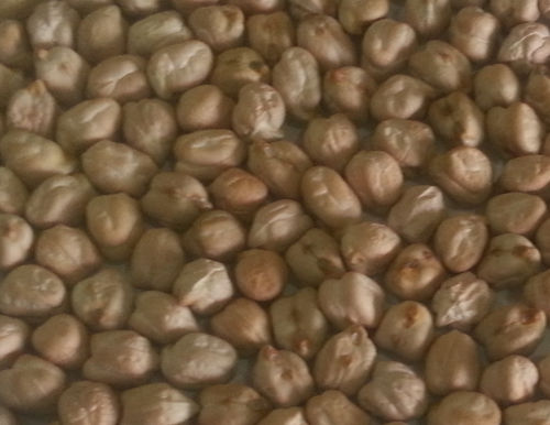 Kabuli Chickpeas