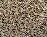 Cumin Seeds