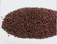 Mustard Brown Seeds