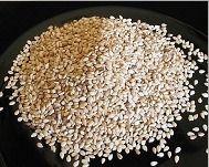 Sesame Seeds