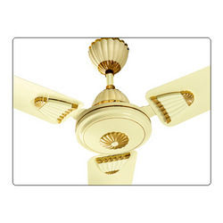 Shell Ivory Fan