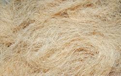 Coir Fiber