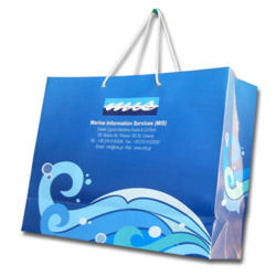 Elegant Printed Paper Bag