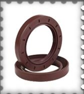 Industrial Viton Oil Seals